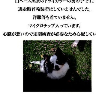 E8BFB7E5AD90E78AACE68EA2E38197E381A6E38184E381BEE38199-ac4ed.jpg